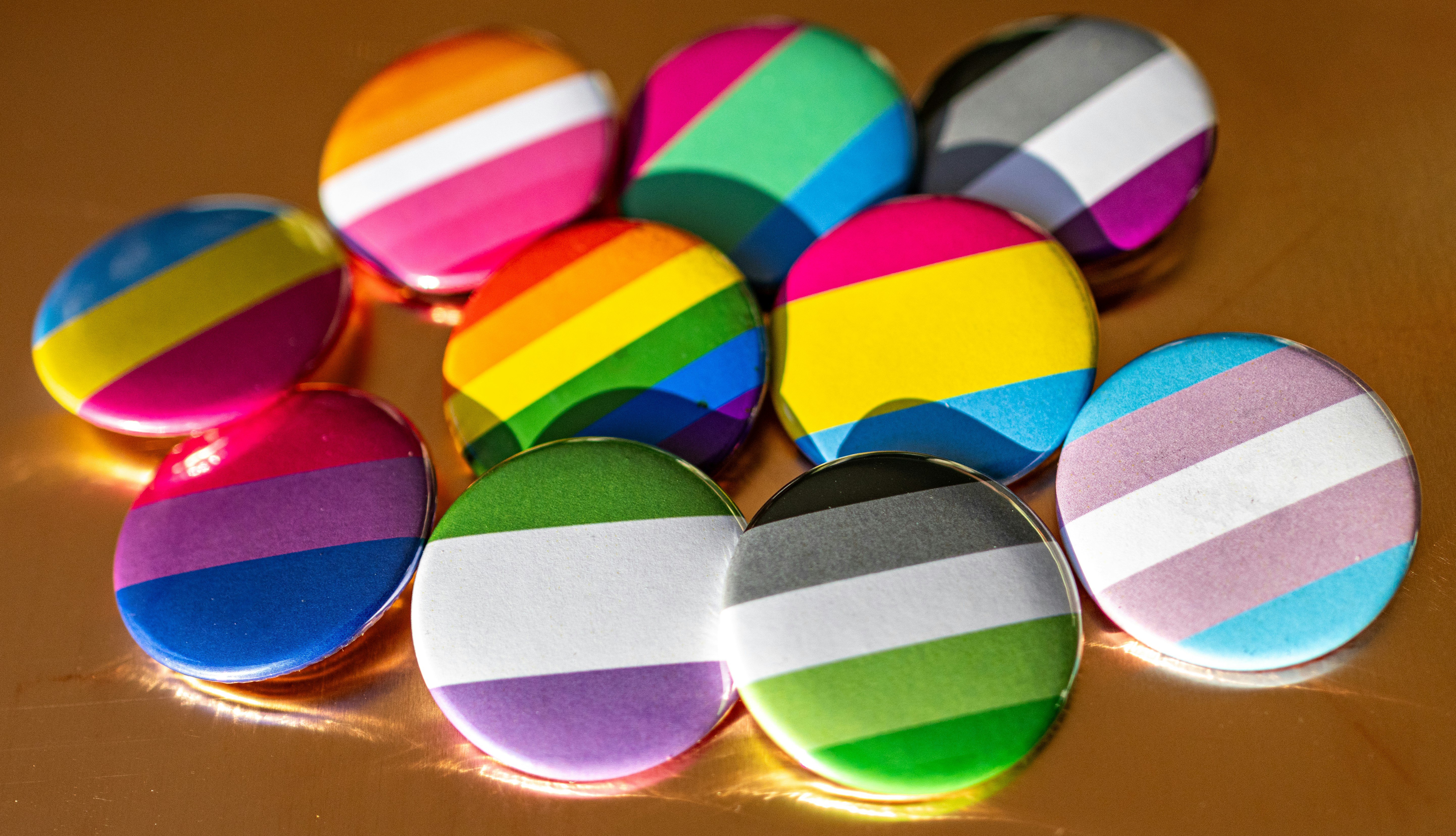 United Kingdom London Imperial College Study Finds Same-Sex Behavior in 59 Primate Species, May Serve Evolutionary Function United Kingdom London Imperial College Study Finds Same-Sex Behavior in 59 Primate Species, May Serve Evolutionary Function