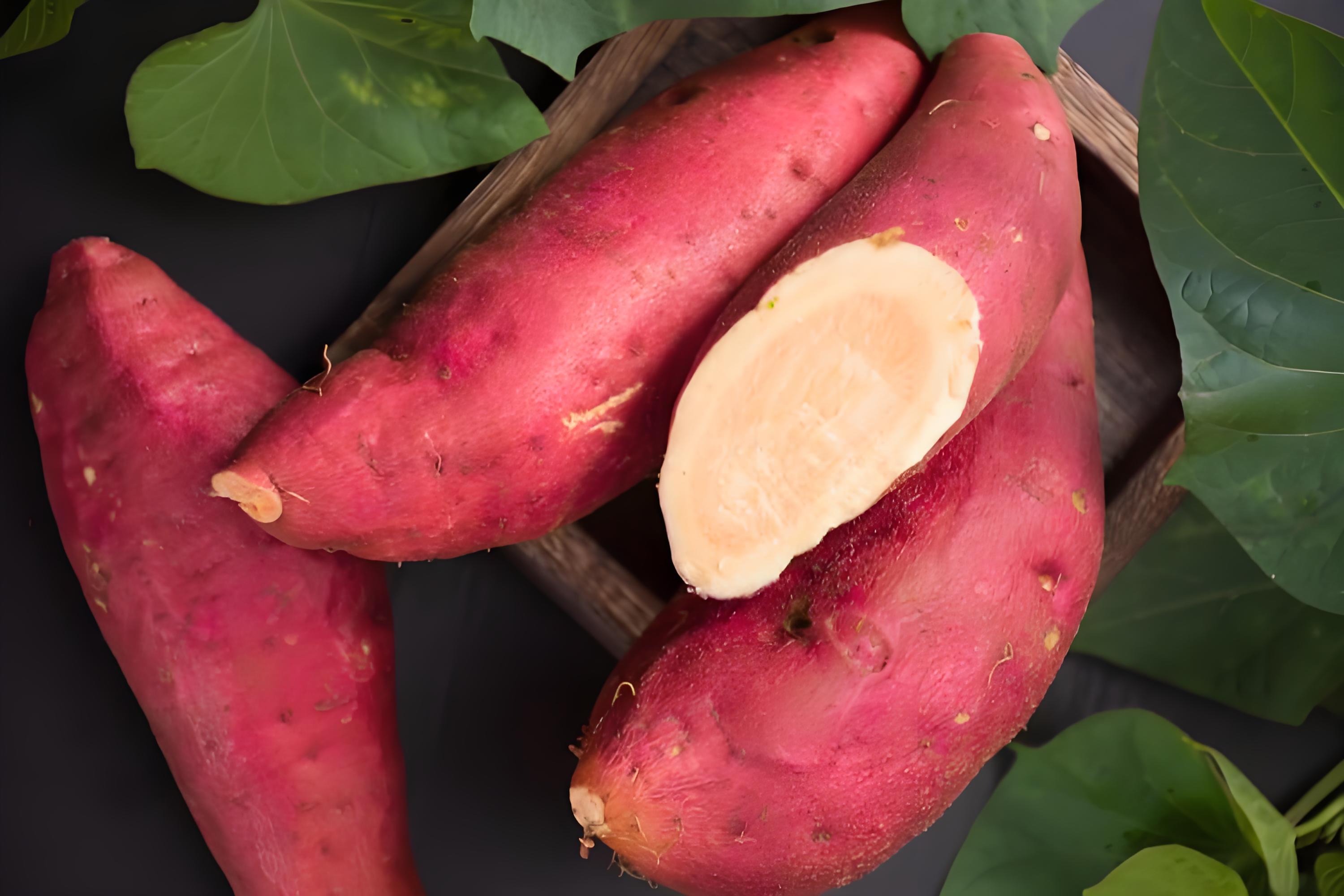 China Emergency Case: Rectal Foreign Body Removed Surgically After Conservative Extraction Fails