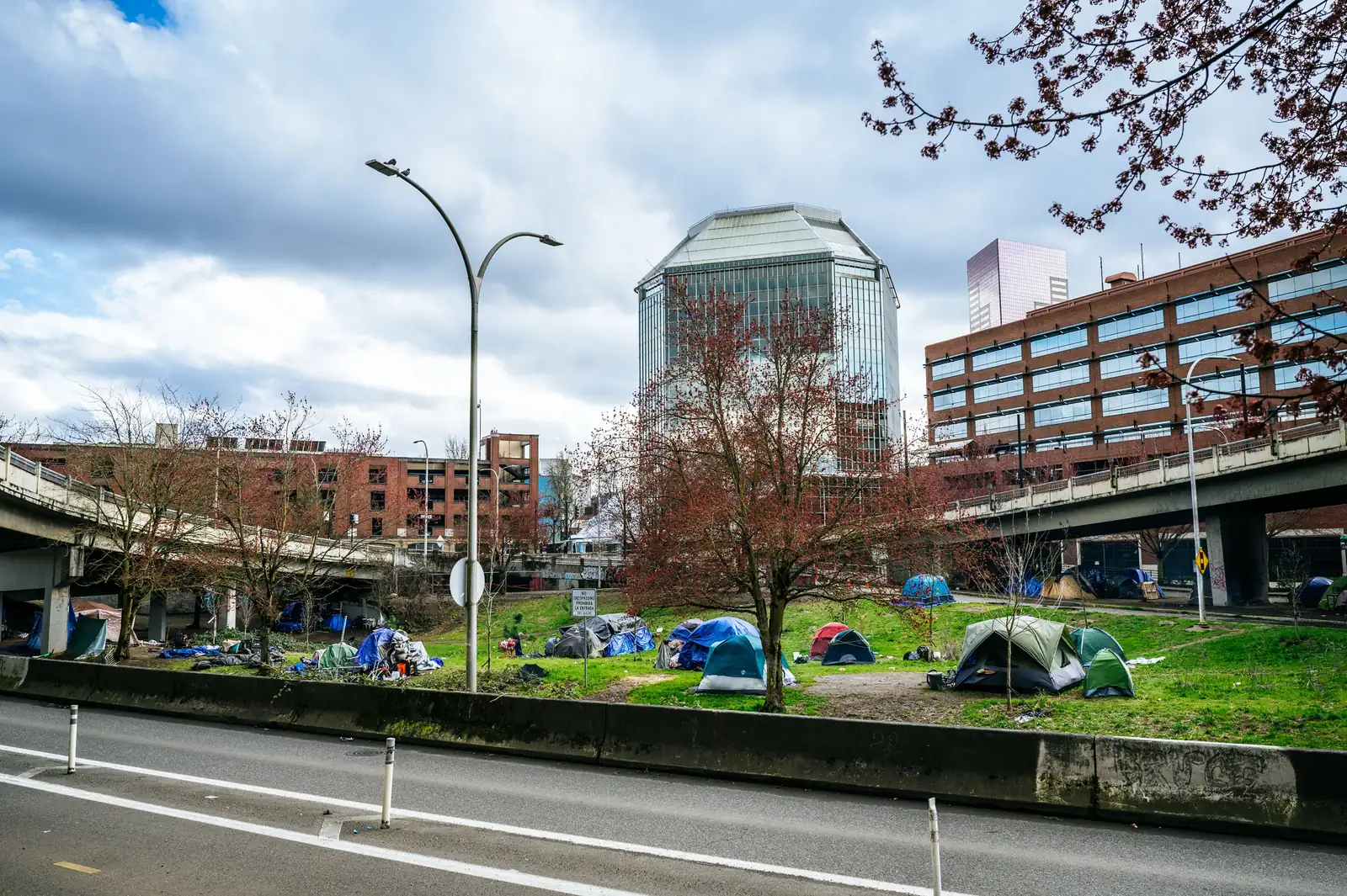 US: Trans Mutual Aid Group Accuses Seattle City Workers of Targeted Park Sweeps